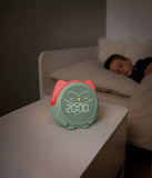 Owlie - Il Magico Allenatore del Sonno