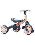Triciclo Evolutivo Pesca,