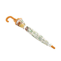 Ombrello trasparente per bambini - Leone Chompy