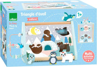 Iceland - Triangolo Multiattività