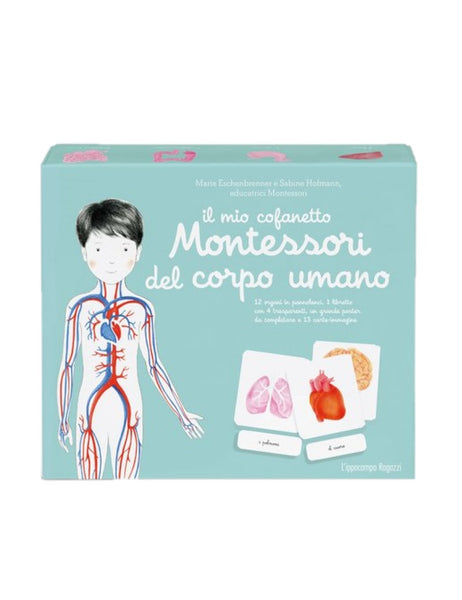 Il mio cofanetto Montessori del corpo umano
