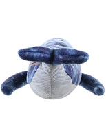 Balenottera Azzurra