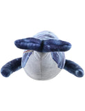 Balenottera Azzurra