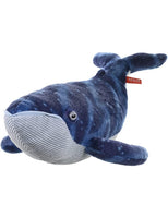 Balenottera Azzurra