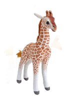 Giraffa Baby