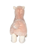 Lama
