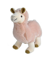 Lama