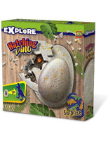 Uovo Di Dinosauro